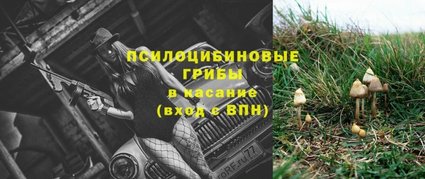 дживик Алзамай